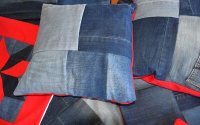 Projekt “U novom ruhu”